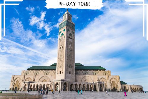 14 day Morocco tour